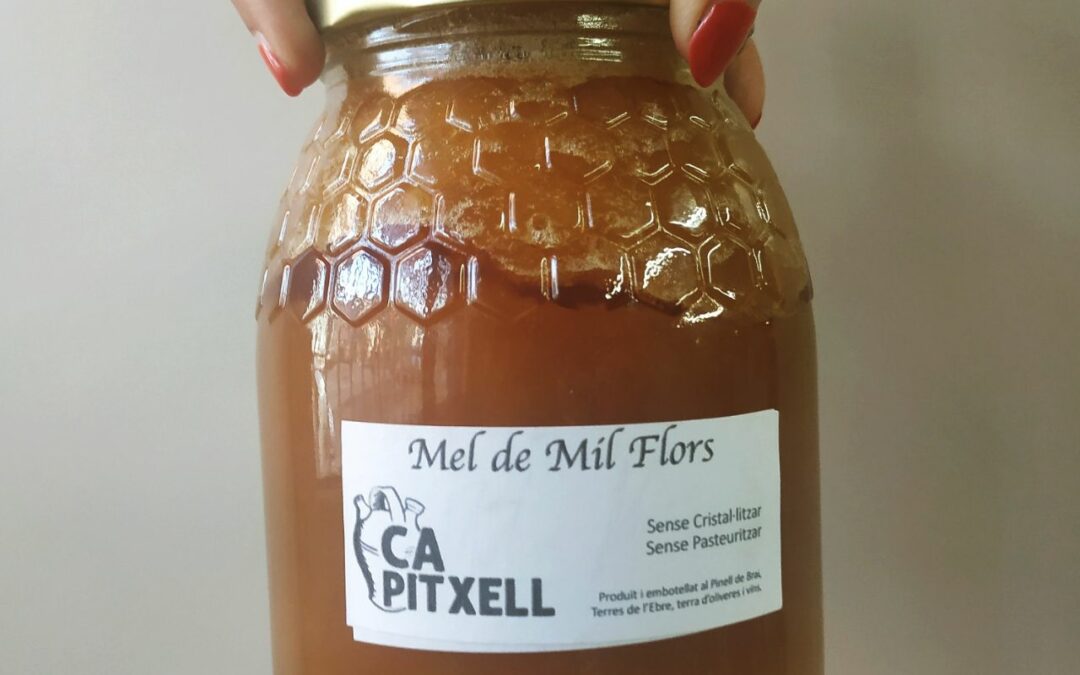 Mel de Mil Flors de Ca Pitxell (1kg)