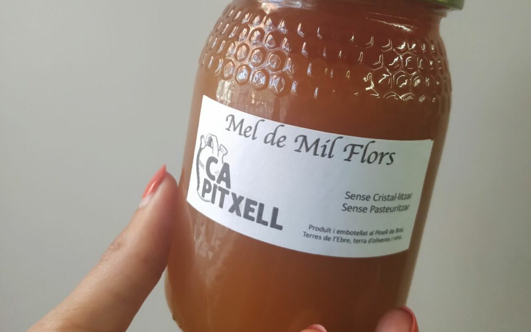Mel de Mil Flors de Ca Pitxell (500g)